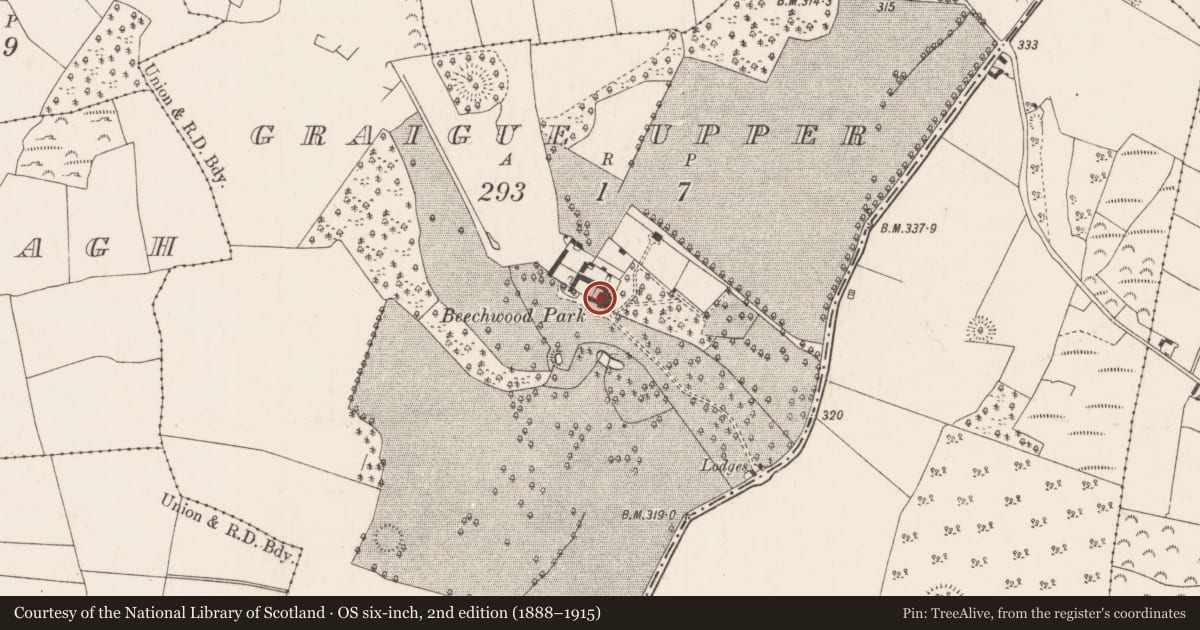Ordnance Survey six-inch map, 2nd edition (1888–1915) covering the location of Castle - tower house, Graigue Upper (Ardcrony Par.), County Tipperary North, with a pin at the register's coordinates