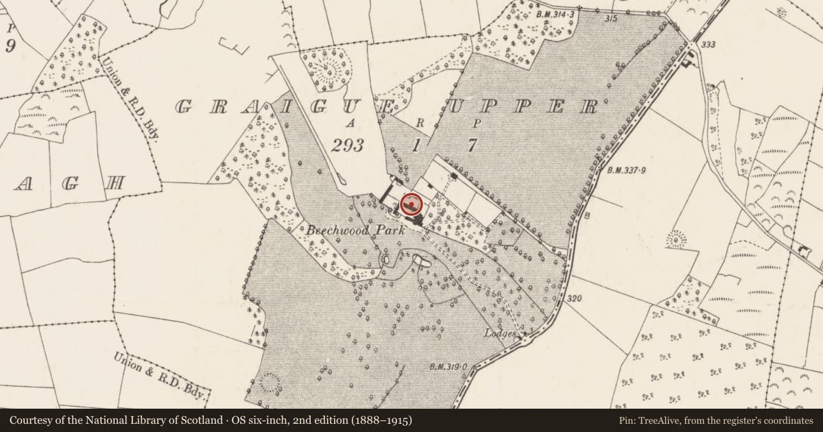 Ordnance Survey six-inch map, 2nd edition (1888–1915) covering the location of Bawn, Graigue Upper (Ardcrony Par.), County Tipperary North, with a pin at the register's coordinates