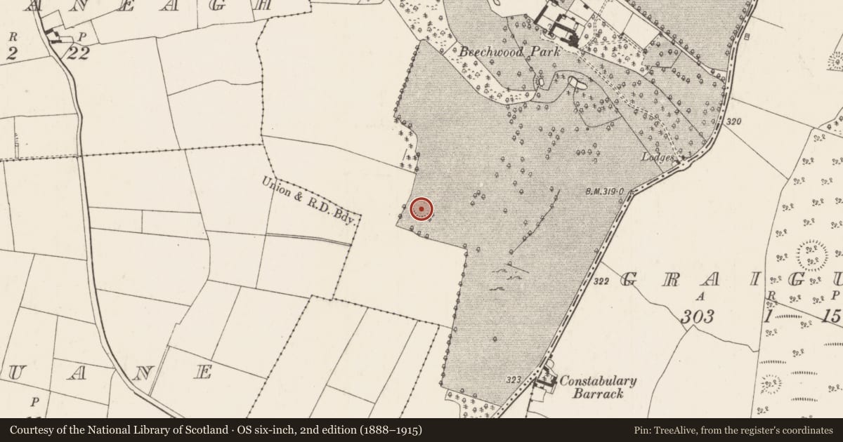 Ordnance Survey six-inch map, 2nd edition (1888–1915) covering the location of Ringfort - rath, Graigue Upper (Ardcrony Par.), County Tipperary North, with a pin at the register's coordinates
