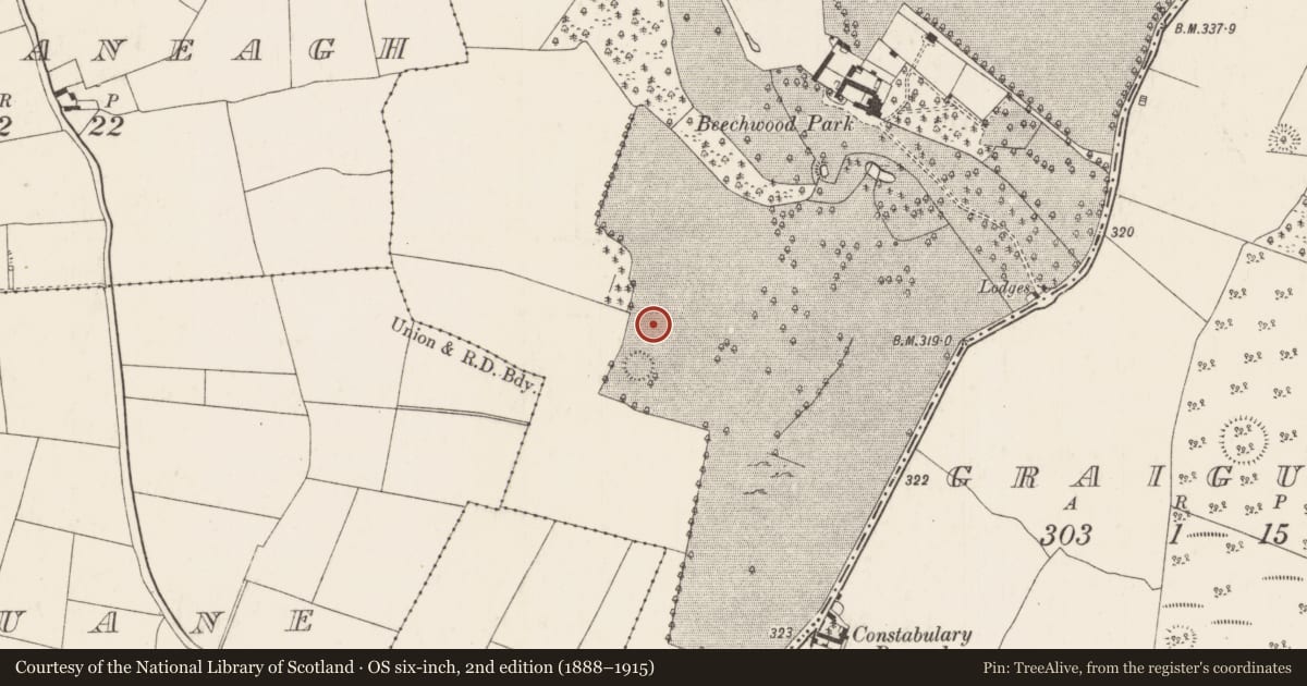 Ordnance Survey six-inch map, 2nd edition (1888–1915) covering the location of Field system, Graigue Upper (Ardcrony Par.), County Tipperary North, with a pin at the register's coordinates