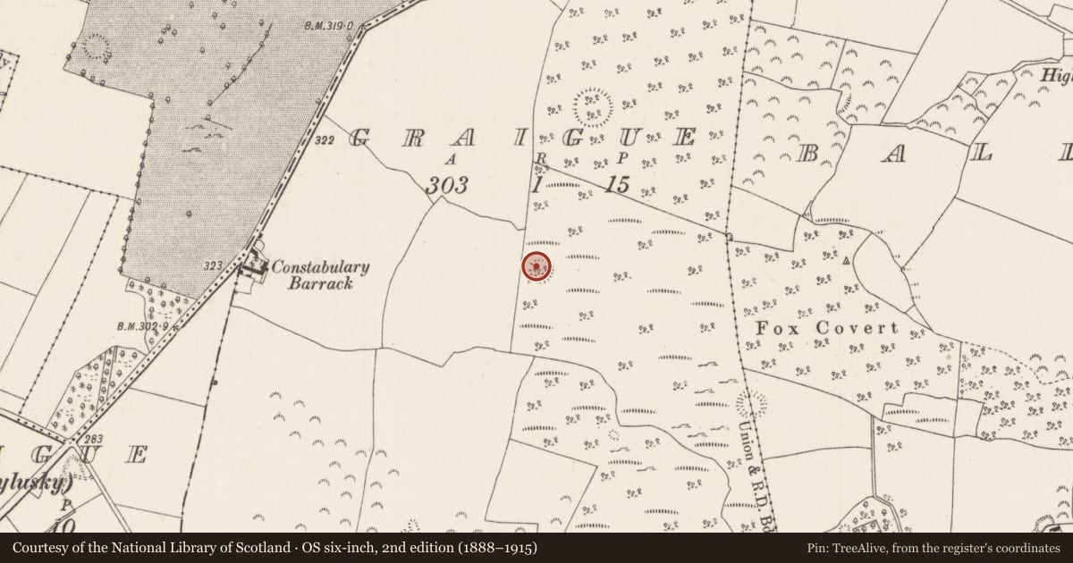 Ordnance Survey six-inch map, 2nd edition (1888–1915) covering the location of Enclosure, Graigue (Ballygibbon Par.), County Tipperary North, with a pin at the register's coordinates
