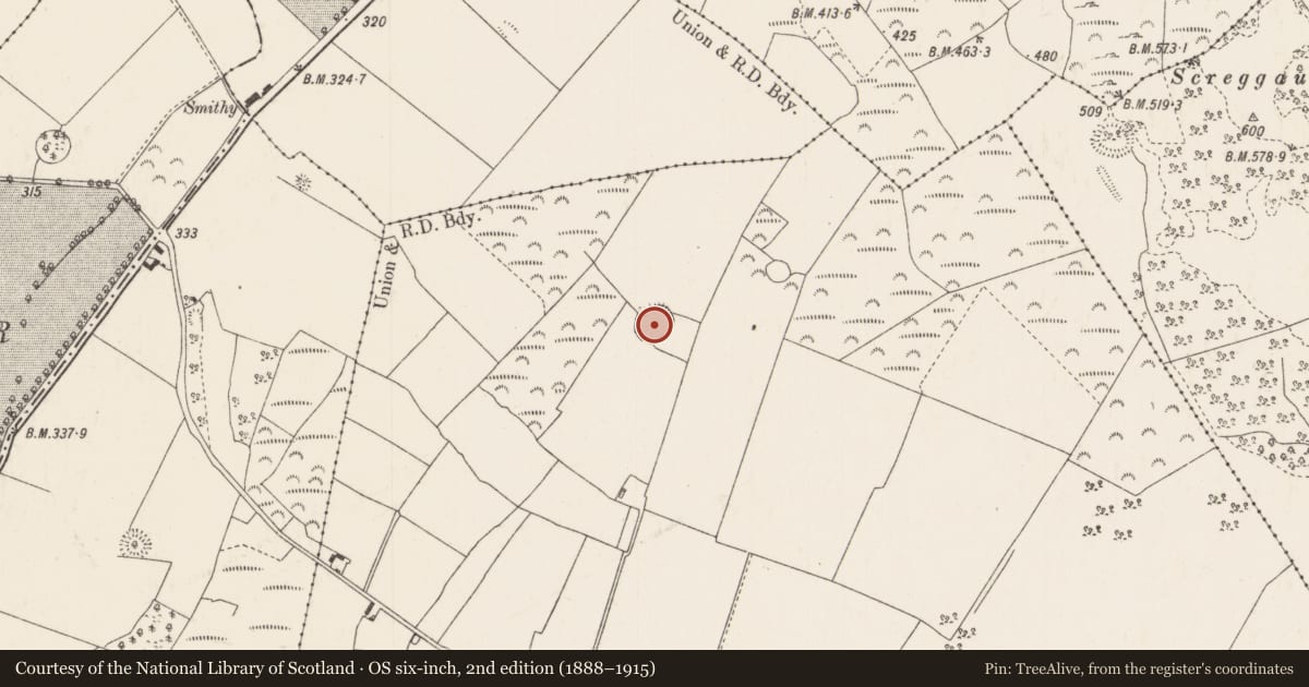 Ordnance Survey six-inch map, 2nd edition (1888–1915) covering the location of Ringfort - rath, Ballygibbon, County Tipperary North, with a pin at the register's coordinates