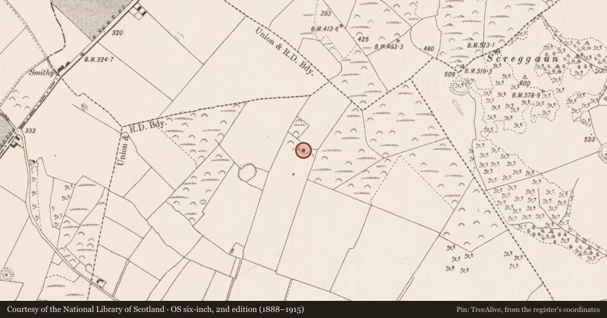 Ordnance Survey six-inch map, 2nd edition (1888–1915) covering the location of Enclosure, Ballygibbon, County Tipperary North, with a pin at the register's coordinates