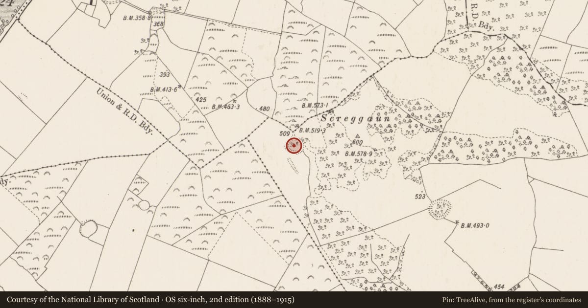 Ordnance Survey six-inch map, 2nd edition (1888–1915) covering the location of Enclosure, Middlewalk, County Tipperary North, with a pin at the register's coordinates