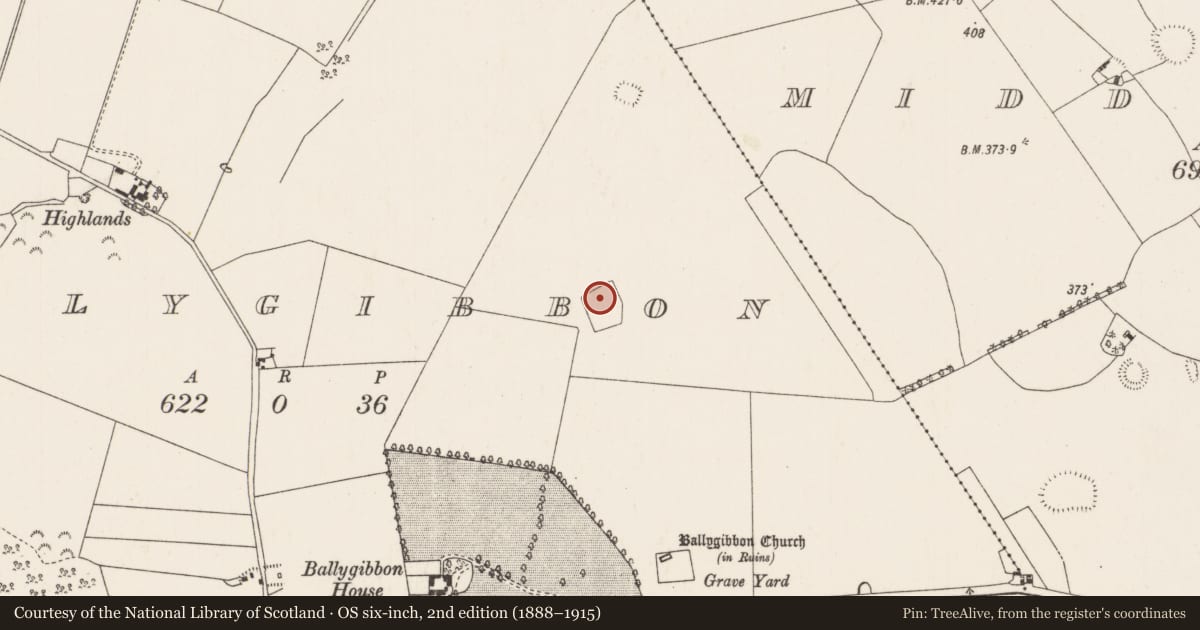 Ordnance Survey six-inch map, 2nd edition (1888–1915) covering the location of Enclosure, Ballygibbon, County Tipperary North, with a pin at the register's coordinates