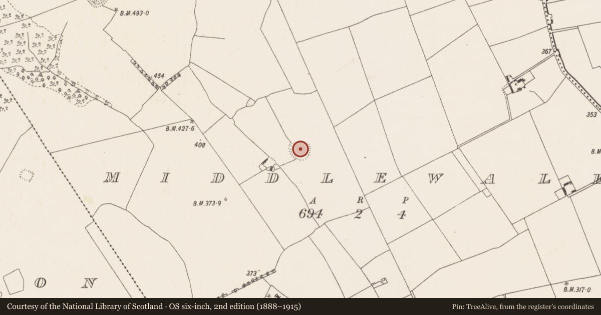 Ordnance Survey six-inch map, 2nd edition (1888–1915) covering the location of Ringfort - rath, Middlewalk, County Tipperary North, with a pin at the register's coordinates