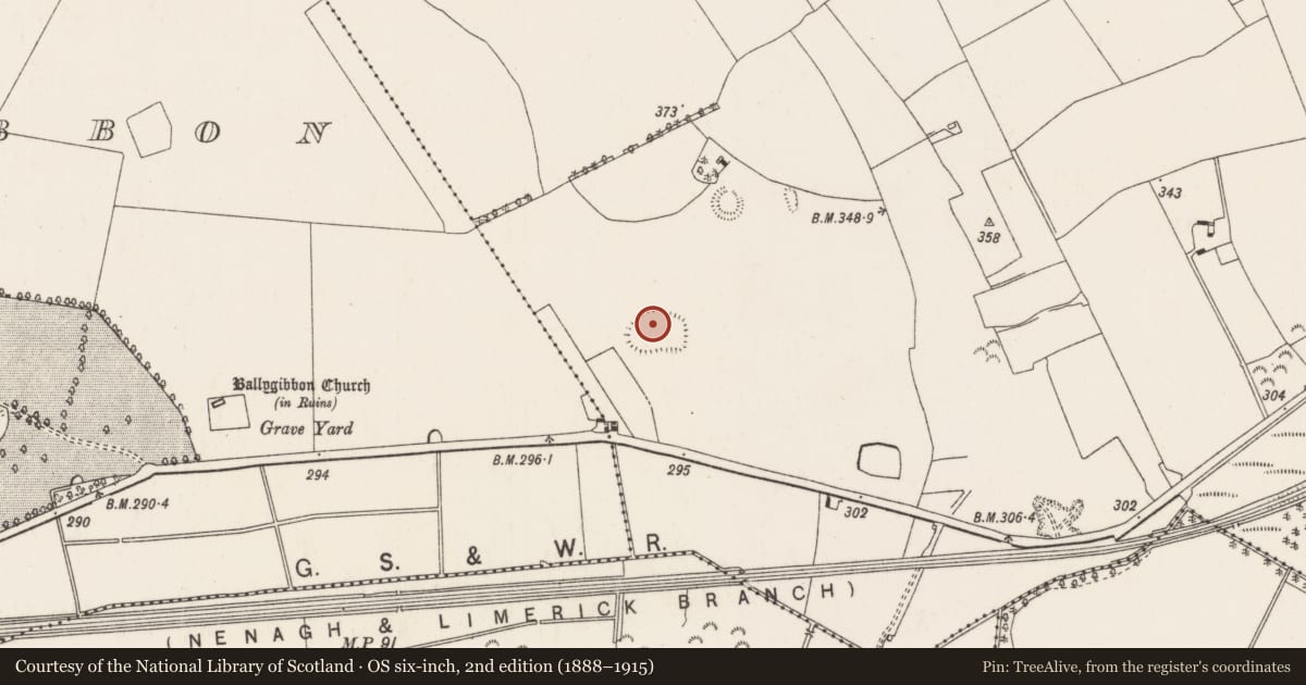 Ordnance Survey six-inch map, 2nd edition (1888–1915) covering the location of Enclosure, Middlewalk, County Tipperary North, with a pin at the register's coordinates