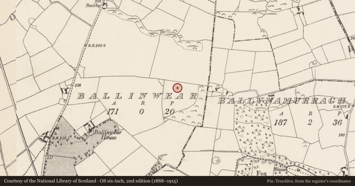 Ordnance Survey six-inch map, 2nd edition (1888–1915) covering the location of Standing stone, Ballinwear, County Tipperary North, with a pin at the register's coordinates