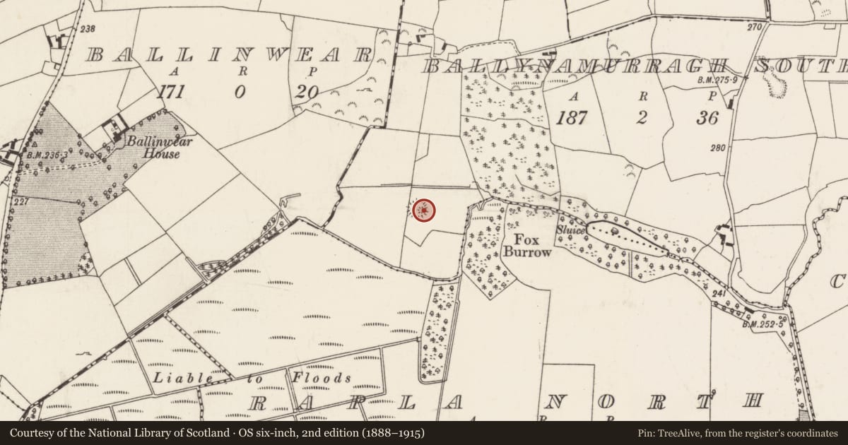 Ordnance Survey six-inch map, 2nd edition (1888–1915) covering the location of Ringfort - rath, Ballynamurragh South, County Tipperary North, with a pin at the register's coordinates