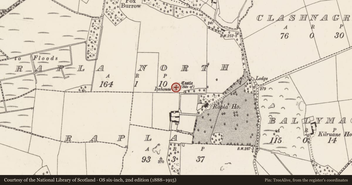 Ordnance Survey six-inch map, 2nd edition (1888–1915) covering the location of Castle - unclassified, Rapla North, County Tipperary North, with a pin at the register's coordinates