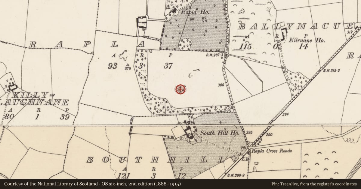 Ordnance Survey six-inch map, 2nd edition (1888–1915) covering the location of Mound, Rapla, County Tipperary North, with a pin at the register's coordinates