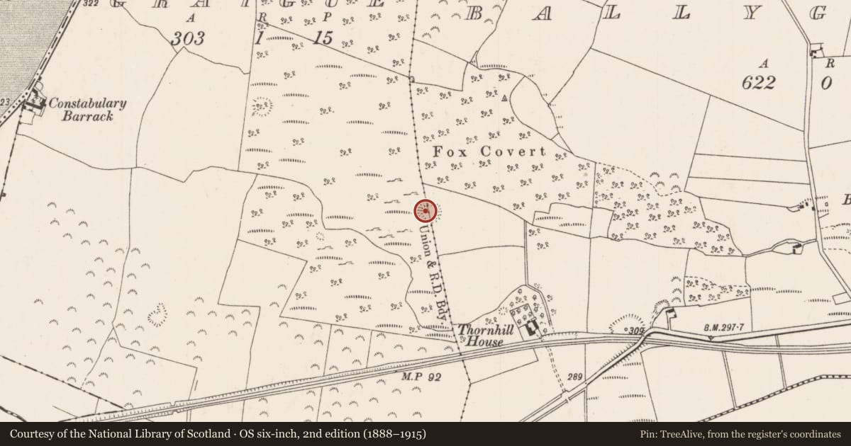 Ordnance Survey six-inch map, 2nd edition (1888–1915) covering the location of Ringfort - rath, Ballygibbon, Graigue (Ballygibbon Par.), County Tipperary North, with a pin at the register's coordinates