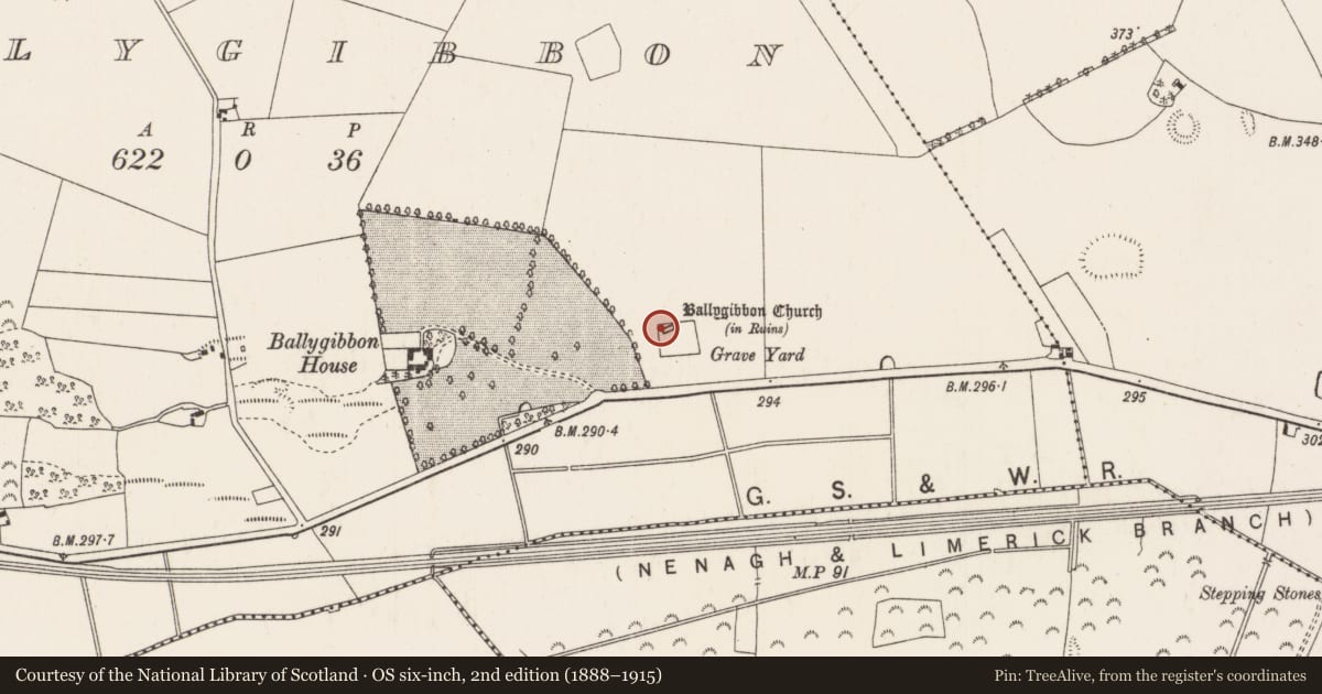 Ordnance Survey six-inch map, 2nd edition (1888–1915) covering the location of Church, Ballygibbon, County Tipperary North, with a pin at the register's coordinates