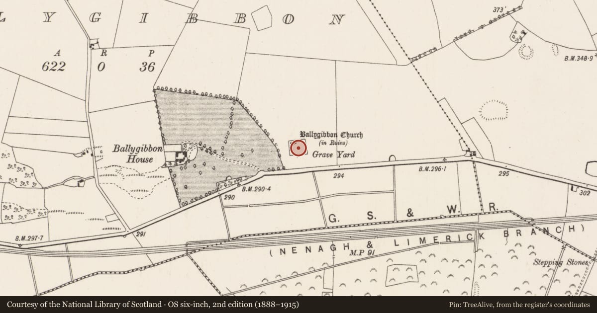 Ordnance Survey six-inch map, 2nd edition (1888–1915) covering the location of Graveyard, Ballygibbon, County Tipperary North, with a pin at the register's coordinates