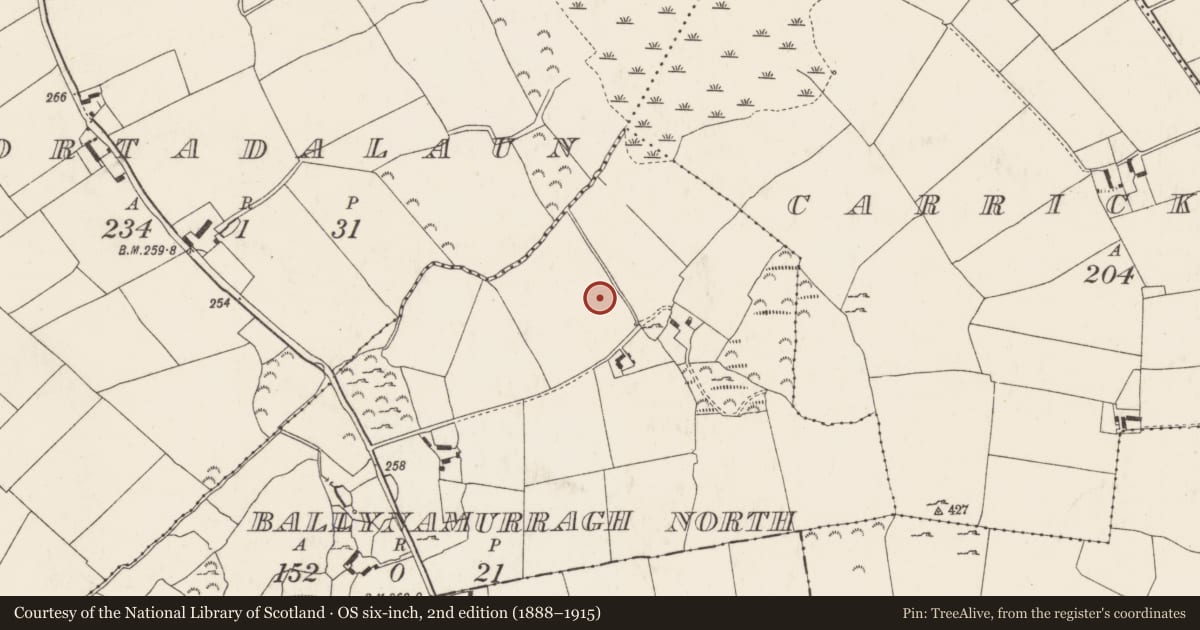 Ordnance Survey six-inch map, 2nd edition (1888–1915) covering the location of Fulacht fia, Ballynamurragh North, County Tipperary North, with a pin at the register's coordinates