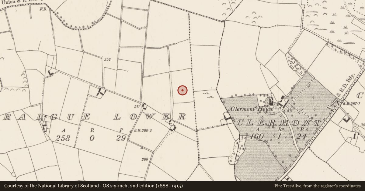 Ordnance Survey six-inch map, 2nd edition (1888–1915) covering the location of Fulacht fia, Graigue Lower (Ardcrony Par.), County Tipperary North, with a pin at the register's coordinates