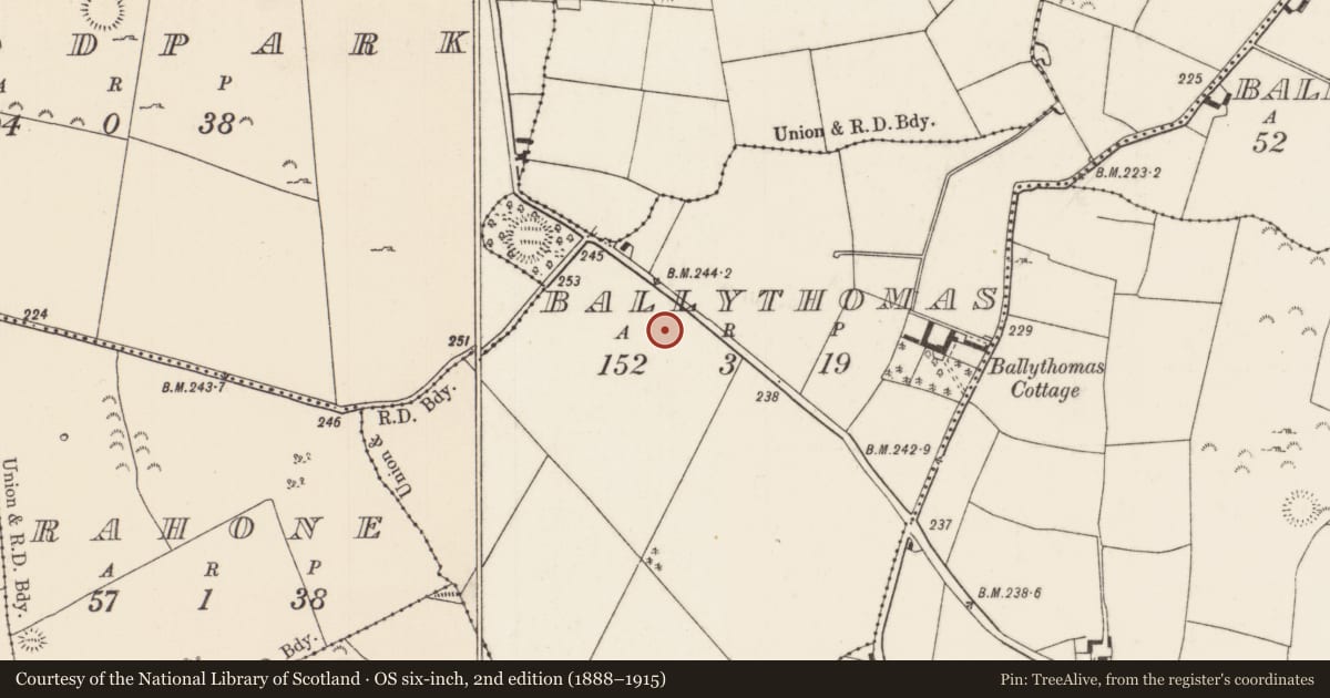 Ordnance Survey six-inch map, 2nd edition (1888–1915) covering the location of Fulacht fia, Ballythomas, County Tipperary North, with a pin at the register's coordinates