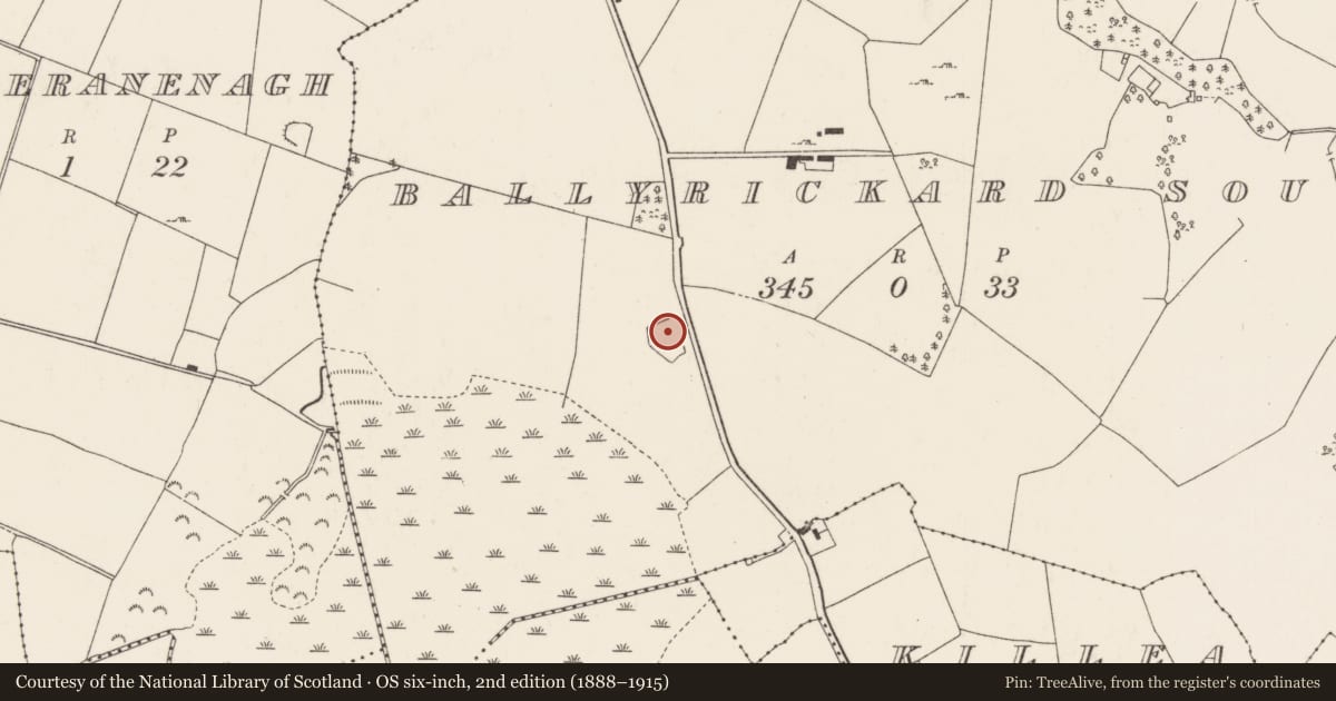 Ordnance Survey six-inch map, 2nd edition (1888–1915) covering the location of Enclosure, Ballyrickard South, County Tipperary North, with a pin at the register's coordinates