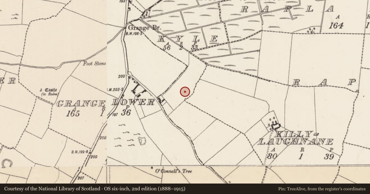 Ordnance Survey six-inch map, 2nd edition (1888–1915) covering the location of Bullaun stone, Kyle (Kilruane Par.), County Tipperary North, with a pin at the register's coordinates
