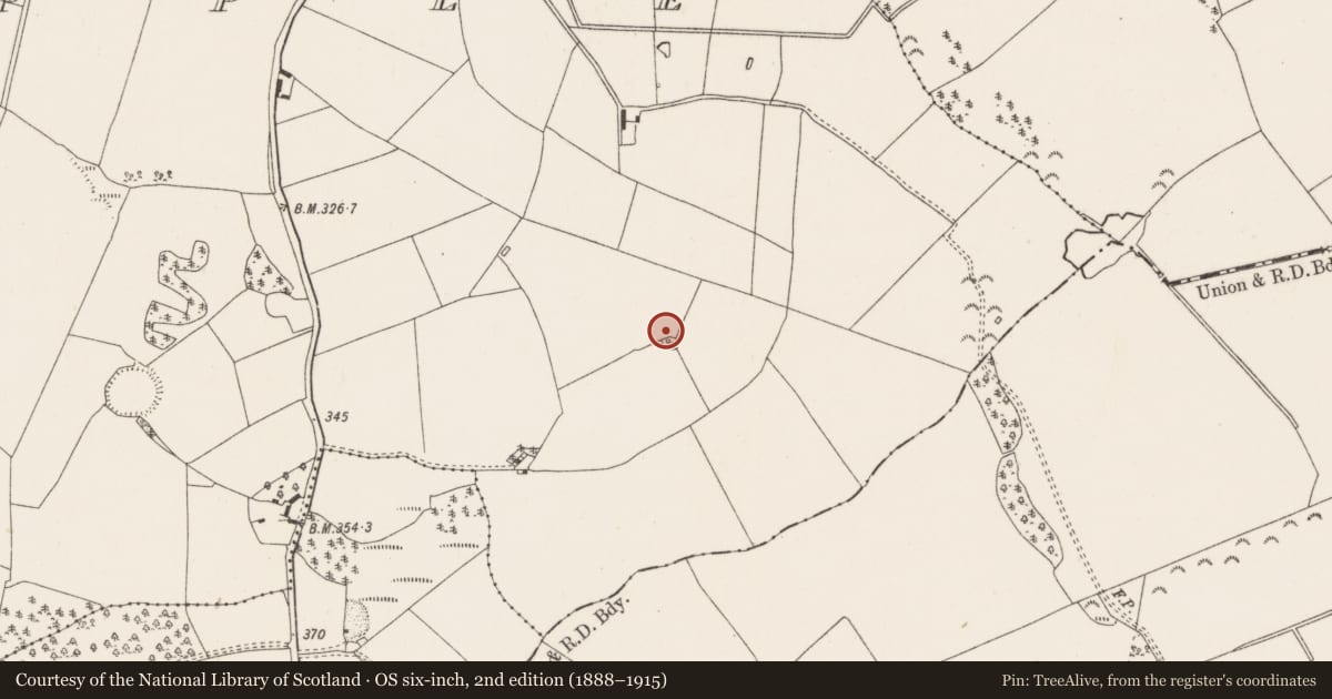 Ordnance Survey six-inch map, 2nd edition (1888–1915) covering the location of Barrow - ring-barrow, Ballycapple, County Tipperary North, with a pin at the register's coordinates