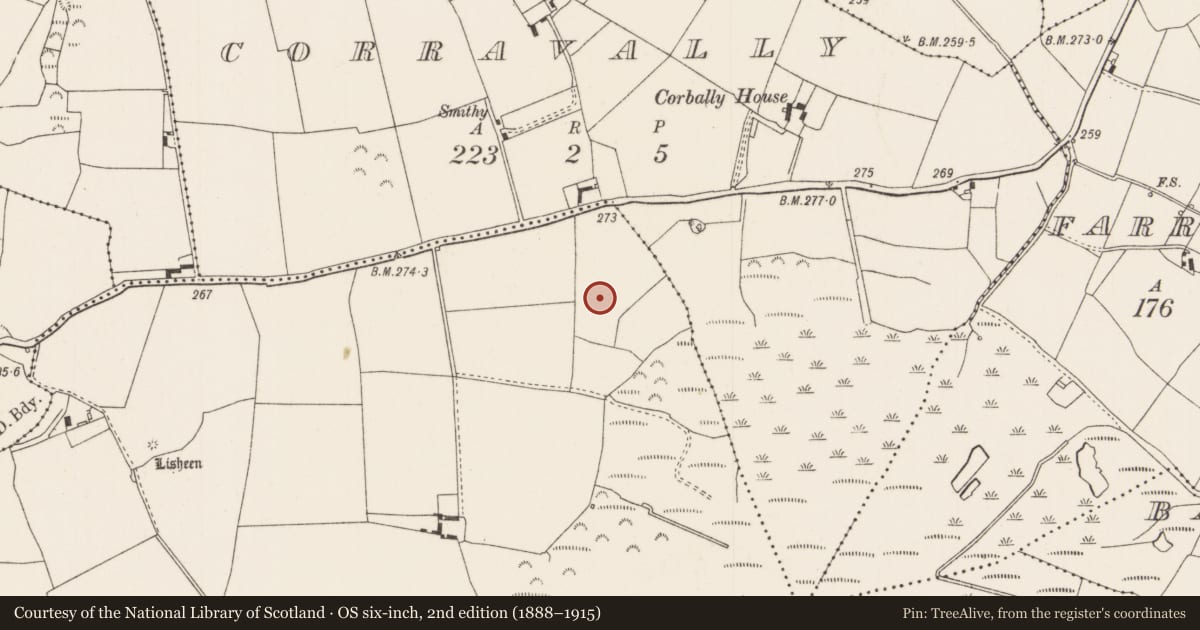 Ordnance Survey six-inch map, 2nd edition (1888–1915) covering the location of Barrow - ring-barrow, Kyle (Ardcrony Par.), County Tipperary North, with a pin at the register's coordinates