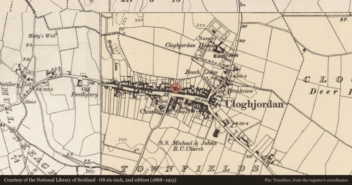 Ordnance Survey six-inch map, 2nd edition (1888–1915) covering the location of Historic town, Townfields, Oxpark, County Tipperary North, with a pin at the register's coordinates