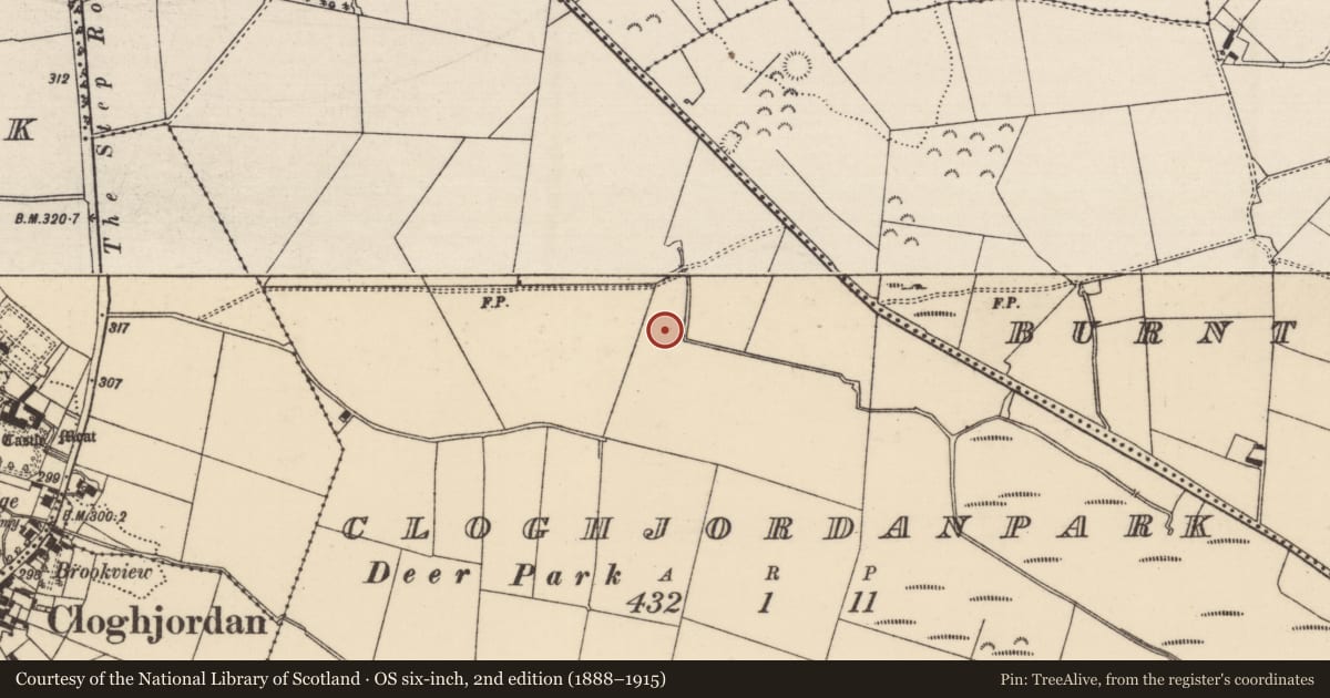 Ordnance Survey six-inch map, 2nd edition (1888–1915) covering the location of Fulacht fia, Cloghjordanpark, County Tipperary North, with a pin at the register's coordinates