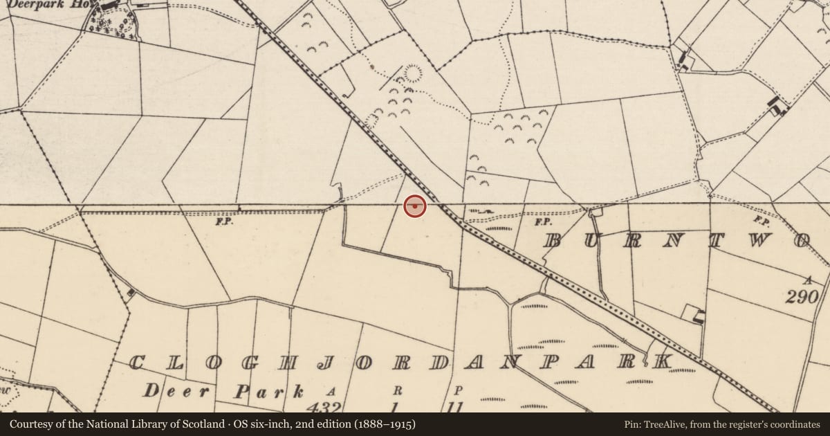 Ordnance Survey six-inch map, 2nd edition (1888–1915) covering the location of Enclosure, Cloghjordanpark, County Tipperary North, with a pin at the register's coordinates