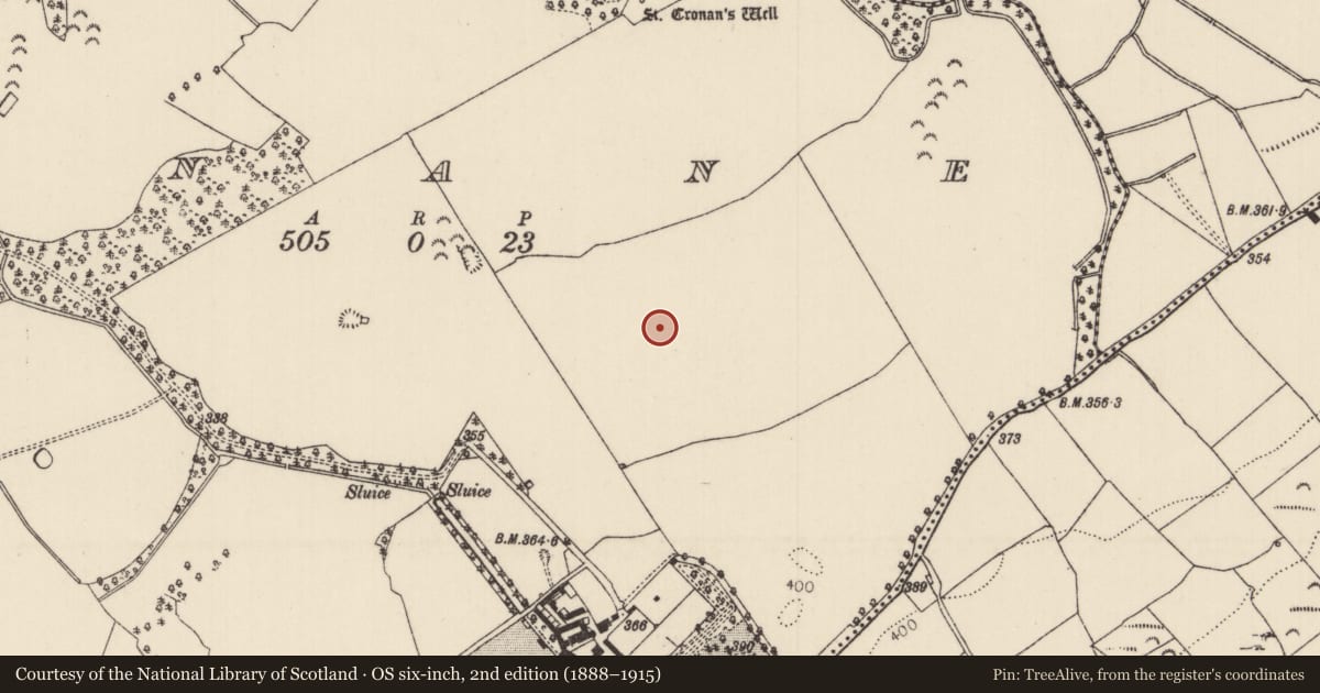 Ordnance Survey six-inch map, 2nd edition (1888–1915) covering the location of Ringfort - unclassified, Inane, County Tipperary North, with a pin at the register's coordinates
