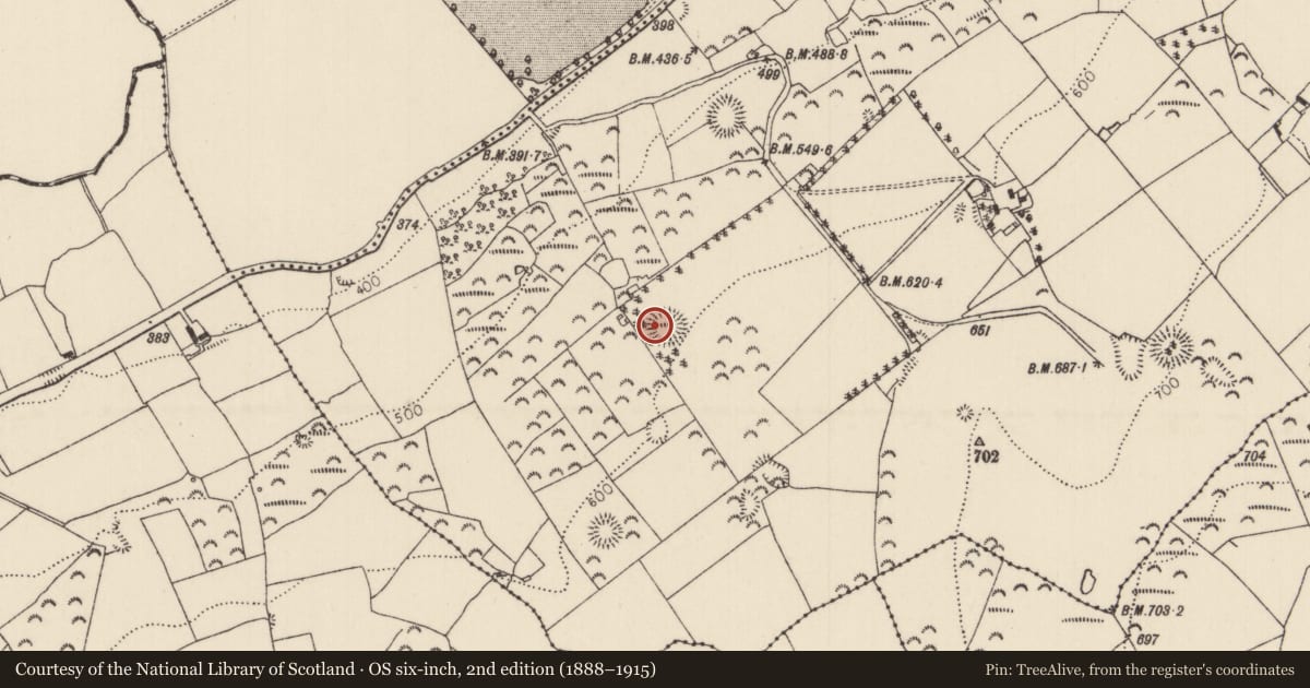 Ordnance Survey six-inch map, 2nd edition (1888–1915) covering the location of Enclosure, Carrick (Roscrea Par.), County Tipperary North, with a pin at the register's coordinates