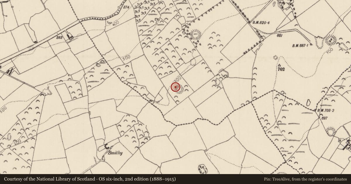 Ordnance Survey six-inch map, 2nd edition (1888–1915) covering the location of Ringfort - rath, Carrick (Roscrea Par.), County Tipperary North, with a pin at the register's coordinates