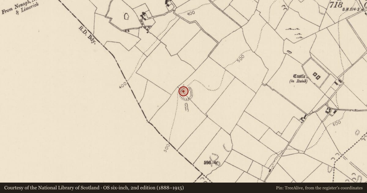 Ordnance Survey six-inch map, 2nd edition (1888–1915) covering the location of Ringfort - rath, Ballynakill, County Tipperary North, with a pin at the register's coordinates