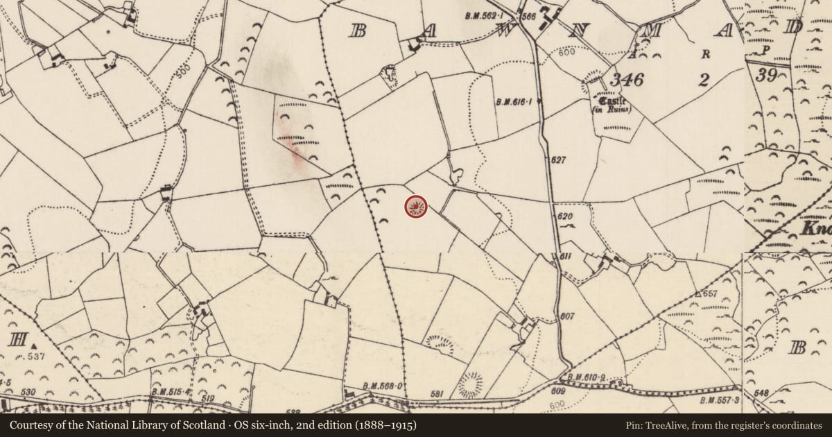 Ordnance Survey six-inch map, 2nd edition (1888–1915) covering the location of Barrow - unclassified, Bawnmadrum, County Tipperary North, with a pin at the register's coordinates