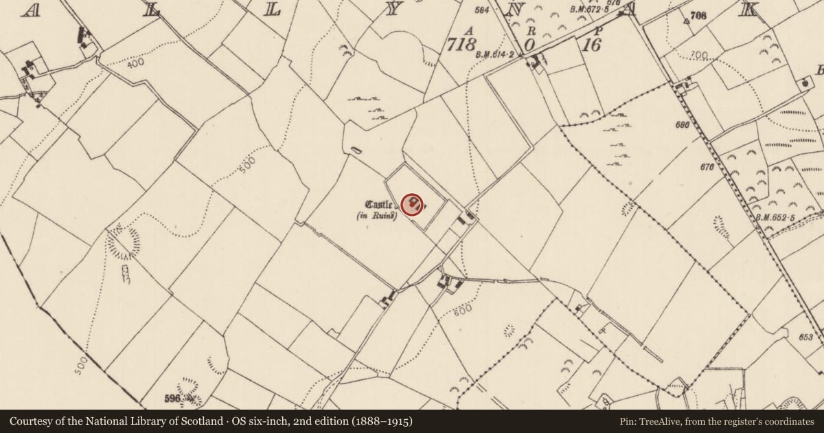 Ordnance Survey six-inch map, 2nd edition (1888–1915) covering the location of Castle - tower house, Ballynakill, County Tipperary North, with a pin at the register's coordinates
