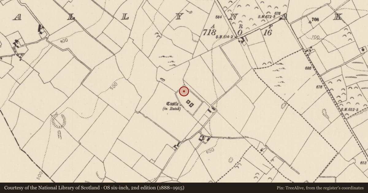 Ordnance Survey six-inch map, 2nd edition (1888–1915) covering the location of Bawn, Ballynakill, County Tipperary North, with a pin at the register's coordinates