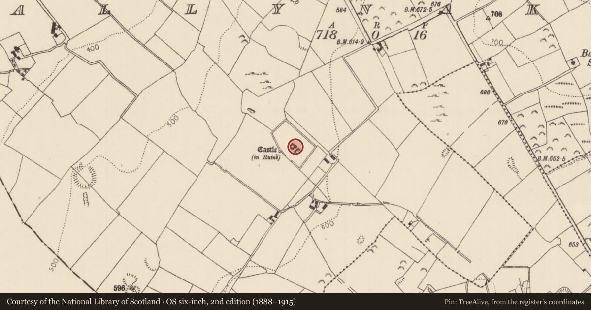 Ordnance Survey six-inch map, 2nd edition (1888–1915) covering the location of House - 17th century, Ballynakill, County Tipperary North, with a pin at the register's coordinates