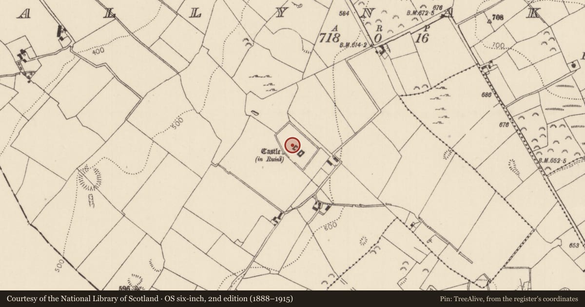 Ordnance Survey six-inch map, 2nd edition (1888–1915) covering the location of Settlement deserted - medieval, Ballynakill, County Tipperary North, with a pin at the register's coordinates