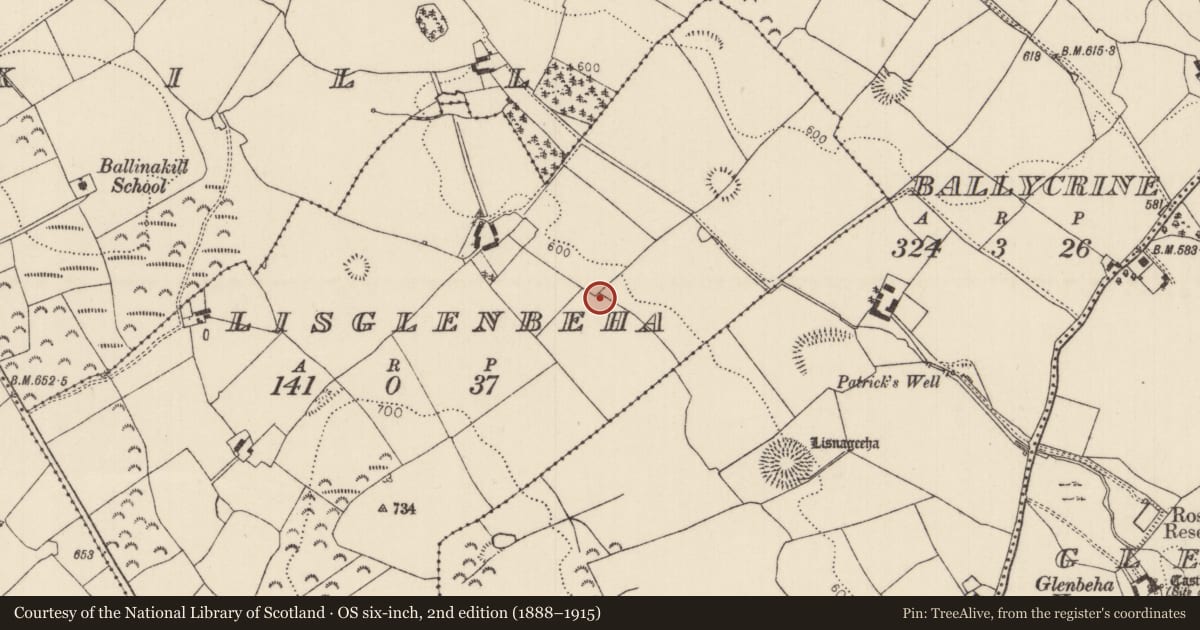 Ordnance Survey six-inch map, 2nd edition (1888–1915) covering the location of Earthwork, Lisglenbeha, County Tipperary North, with a pin at the register's coordinates