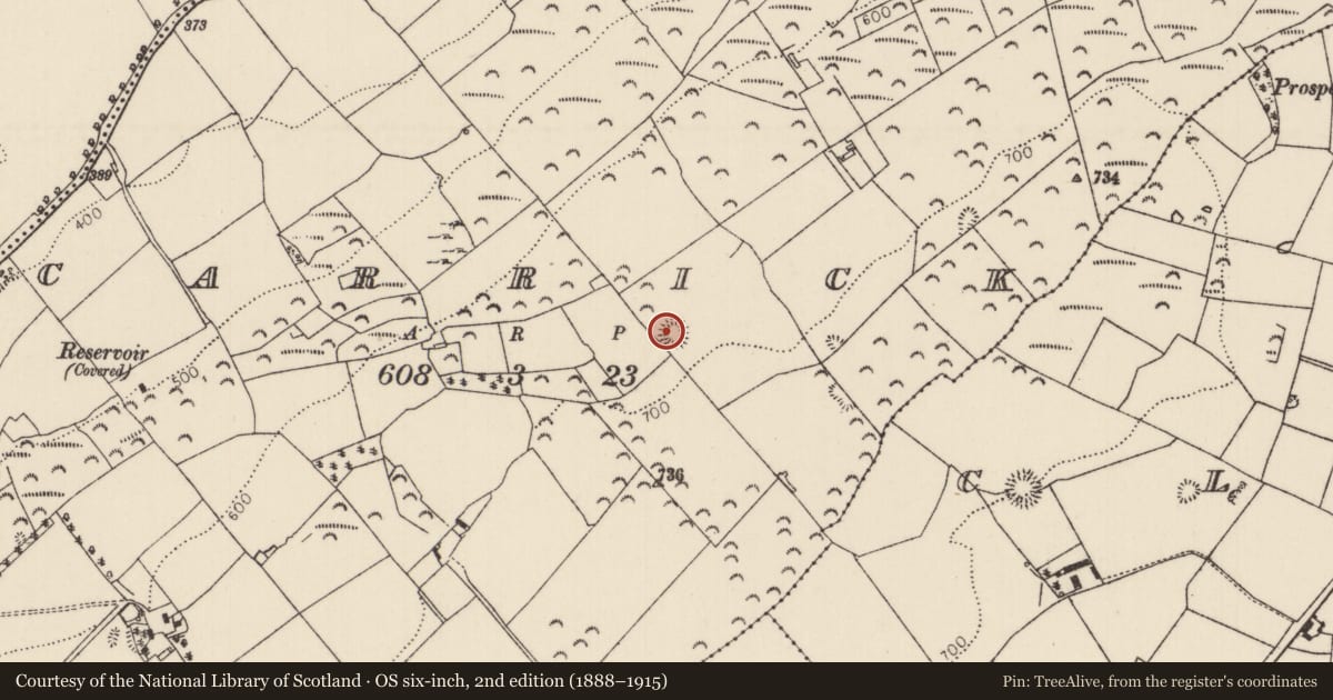 Ordnance Survey six-inch map, 2nd edition (1888–1915) covering the location of Ringfort - rath, Carrick (Roscrea Par.), County Tipperary North, with a pin at the register's coordinates
