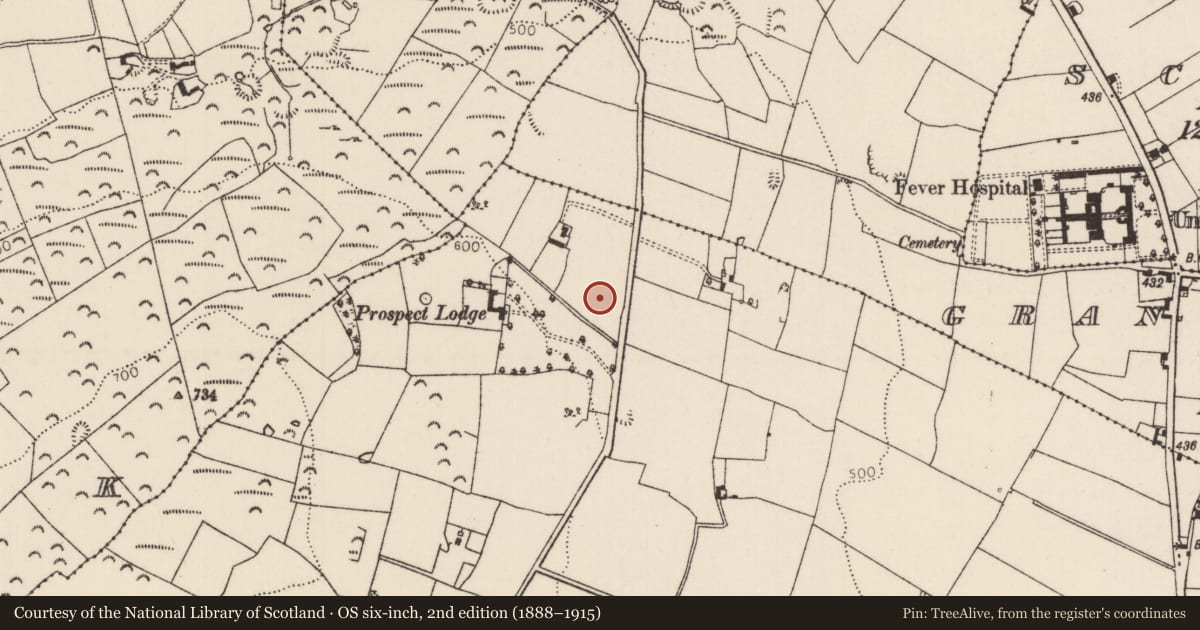 Ordnance Survey six-inch map, 2nd edition (1888–1915) covering the location of Megalithic tomb - wedge tomb, Cloneen, County Tipperary North, with a pin at the register's coordinates