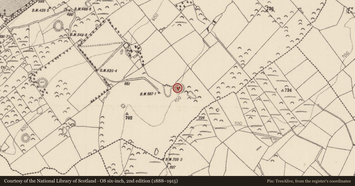 Ordnance Survey six-inch map, 2nd edition (1888–1915) covering the location of Ringfort - rath, Carrick (Roscrea Par.), County Tipperary North, with a pin at the register's coordinates