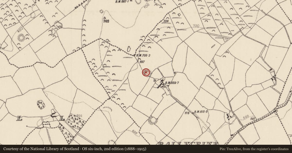 Ordnance Survey six-inch map, 2nd edition (1888–1915) covering the location of Ringfort - rath, Ballycrine, County Tipperary North, with a pin at the register's coordinates