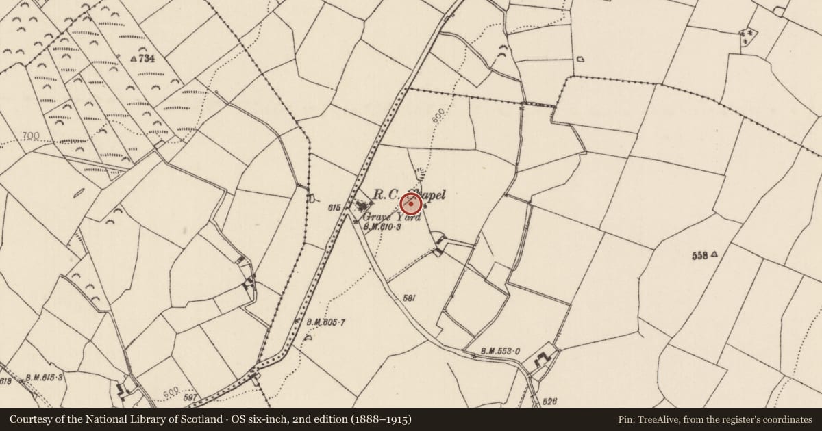 Ordnance Survey six-inch map, 2nd edition (1888–1915) covering the location of Enclosure, Camlin, County Tipperary North, with a pin at the register's coordinates