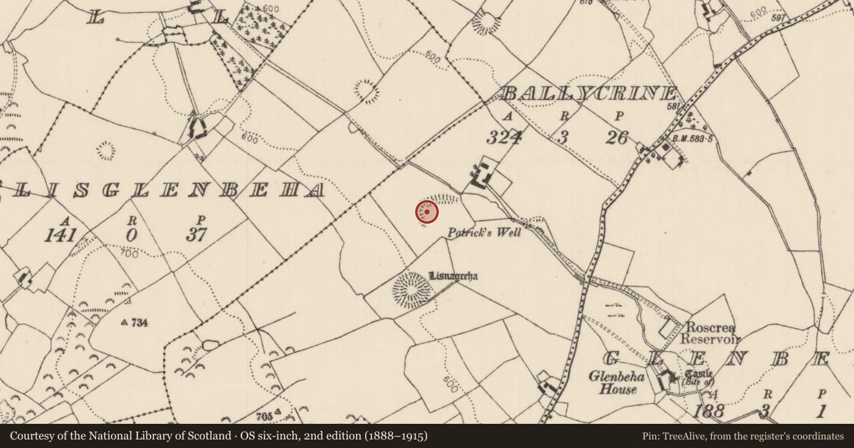 Ordnance Survey six-inch map, 2nd edition (1888–1915) covering the location of Enclosure, Ballycrine, County Tipperary North, with a pin at the register's coordinates