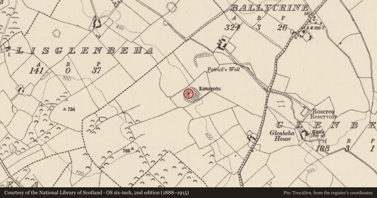 Ordnance Survey six-inch map, 2nd edition (1888–1915) covering the location of Castle - ringwork, Ballycrine, County Tipperary North, with a pin at the register's coordinates