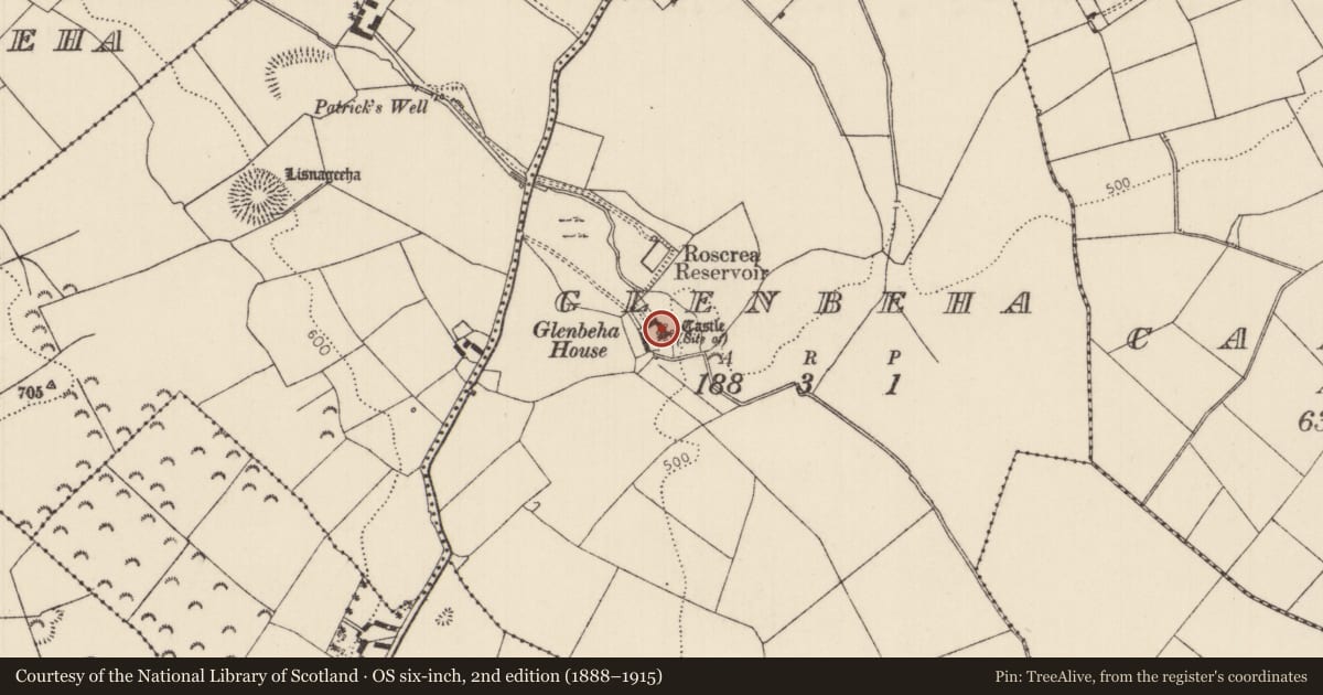 Ordnance Survey six-inch map, 2nd edition (1888–1915) covering the location of Castle - unclassified, Glenbeha, County Tipperary North, with a pin at the register's coordinates