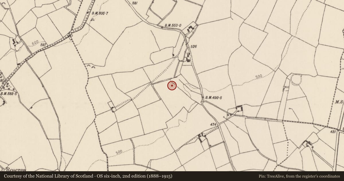 Ordnance Survey six-inch map, 2nd edition (1888–1915) covering the location of Enclosure, Camlin, County Tipperary North, with a pin at the register's coordinates