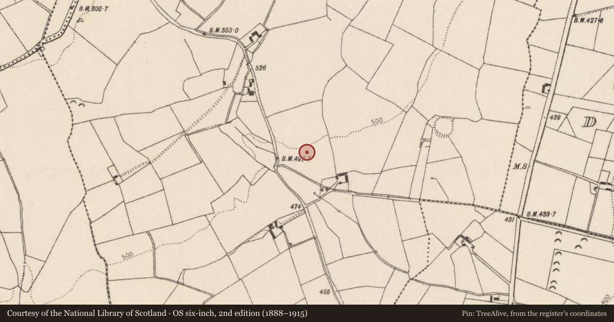 Ordnance Survey six-inch map, 2nd edition (1888–1915) covering the location of Ringfort - rath, Camlin, County Tipperary North, with a pin at the register's coordinates
