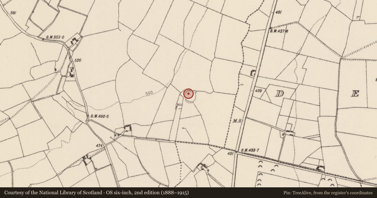 Ordnance Survey six-inch map, 2nd edition (1888–1915) covering the location of Ringfort - rath, Camlin, County Tipperary North, with a pin at the register's coordinates