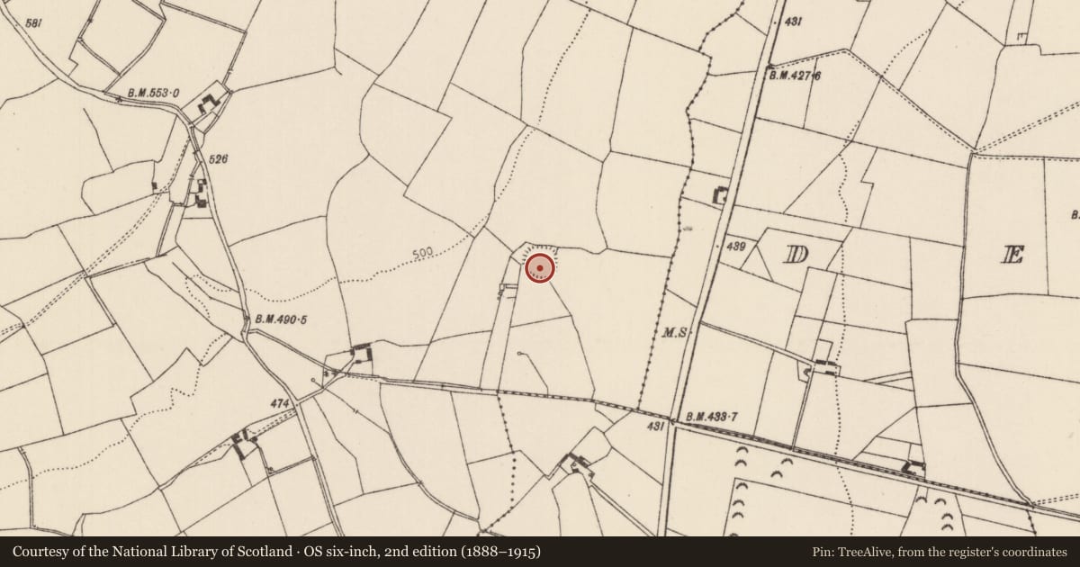 Ordnance Survey six-inch map, 2nd edition (1888–1915) covering the location of Burial ground, Camlin, County Tipperary North, with a pin at the register's coordinates